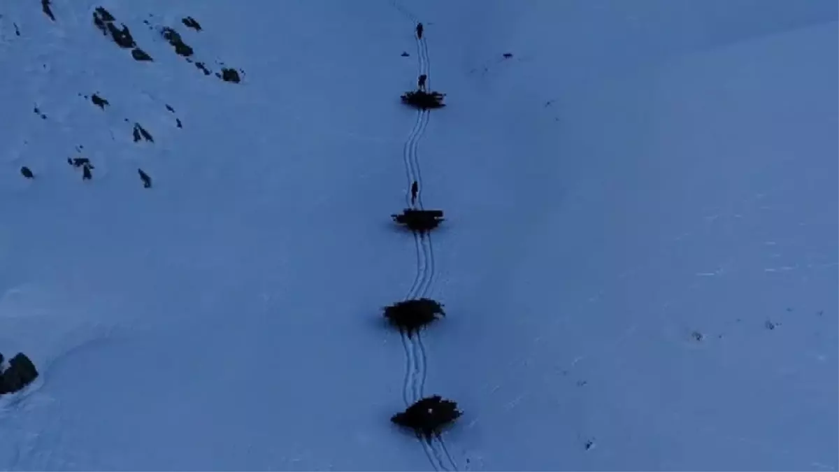 Bitlis\'te Kış Hazırlığı: İmece Usulü Yem Taşıma