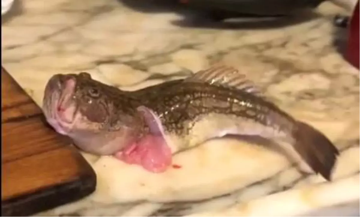 Temizlenen balık tezgahı salladı