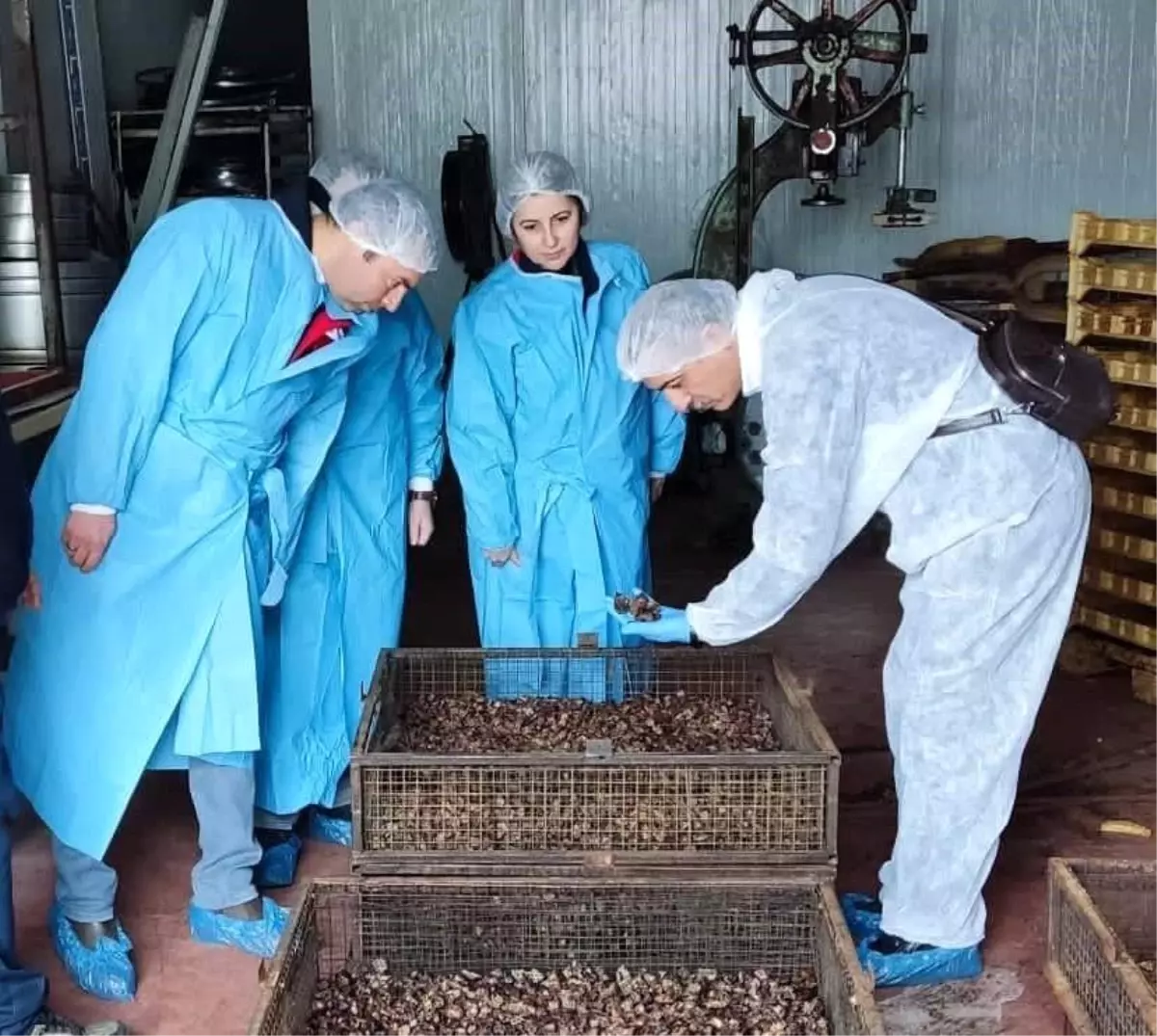 Afyonkarahisar\'da Köpek Maması Tesisine Denetim