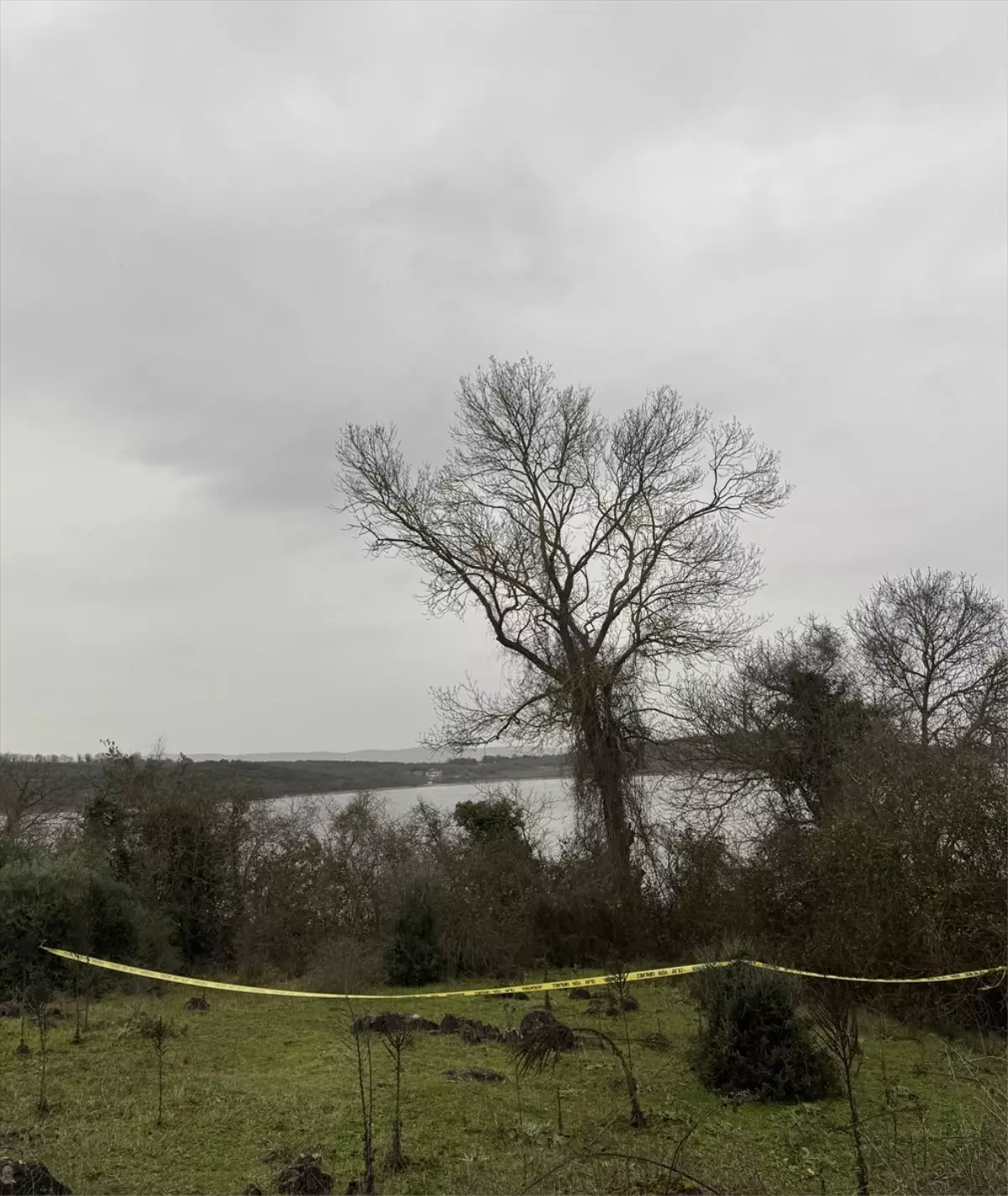 Sakarya\'da Kayıp Gencin Cesedi Bulundu