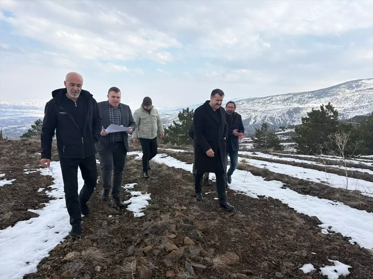 Karşıyaka Tabiat Parkı\'nda İyileştirme Çalışmaları