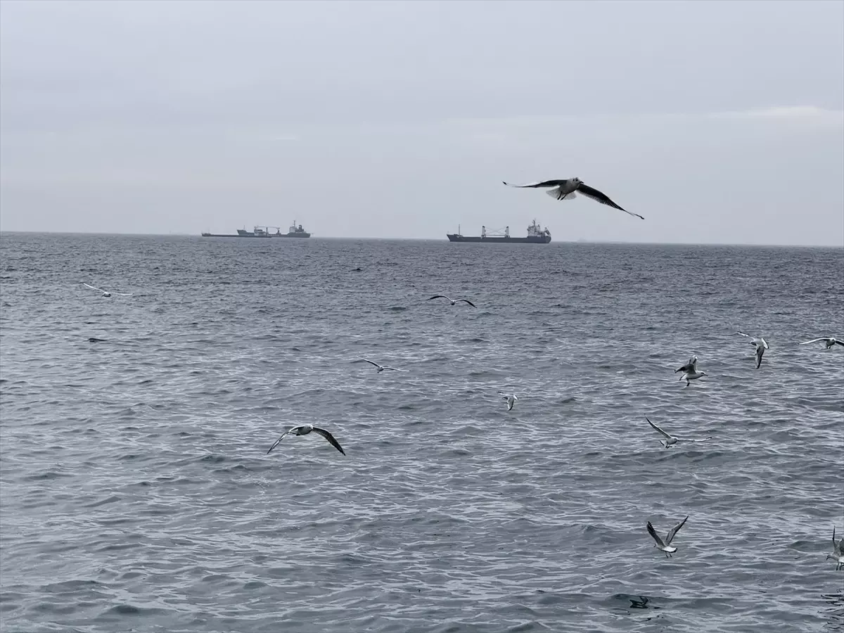 Tekirdağ\'da Lodos Ulaşımı Aksatıyor