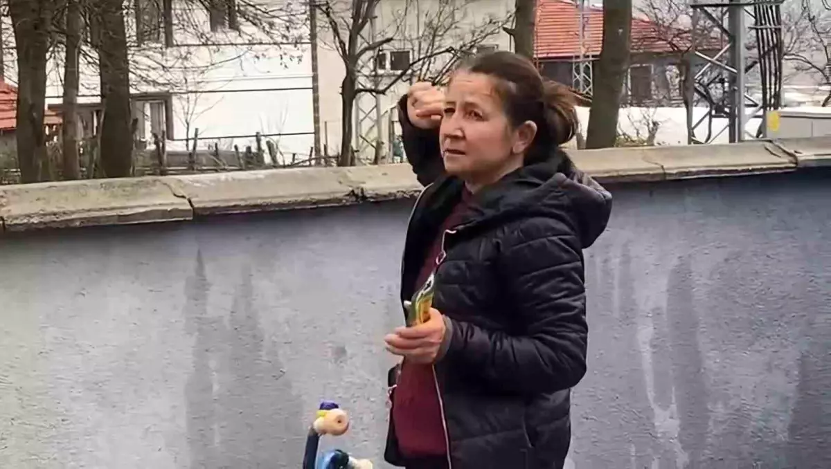 Mahsur Kedi Bir Haftadır Ağacın Düzeyinde