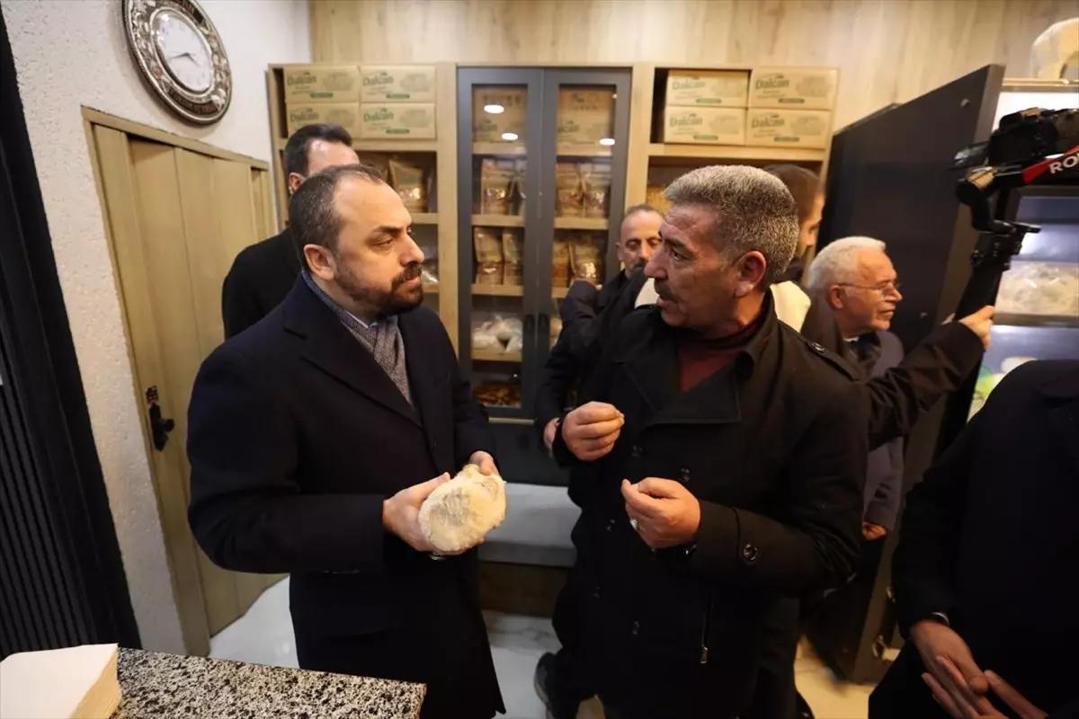 Acar\'dan Erzincan Ziyareti