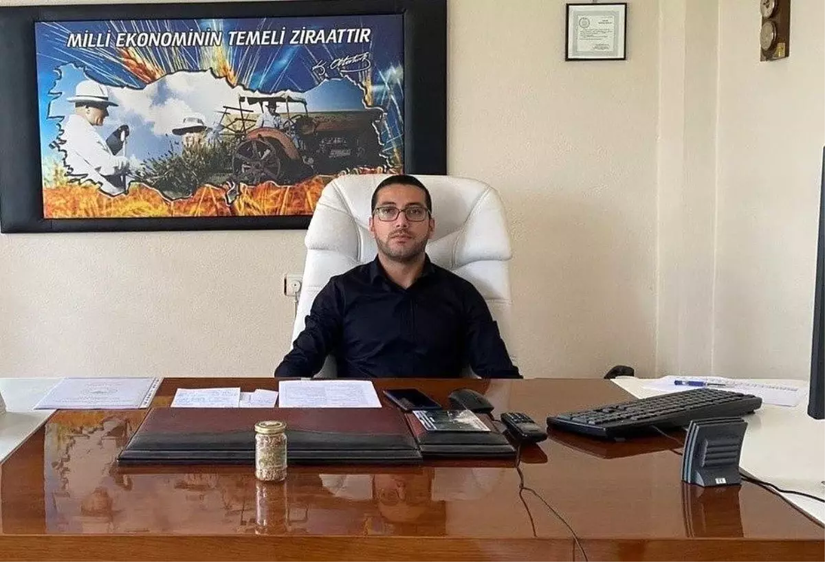 Bilecik\'te Yaban Domuzu Sürek Avı