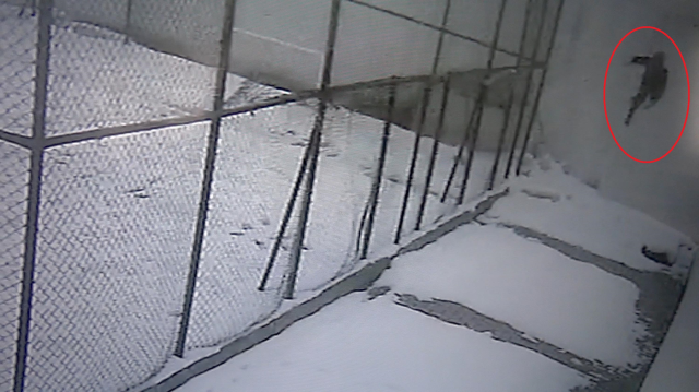 Cam silerken 3'üncü kattan düşen öğretmen yaşamını yitirdi