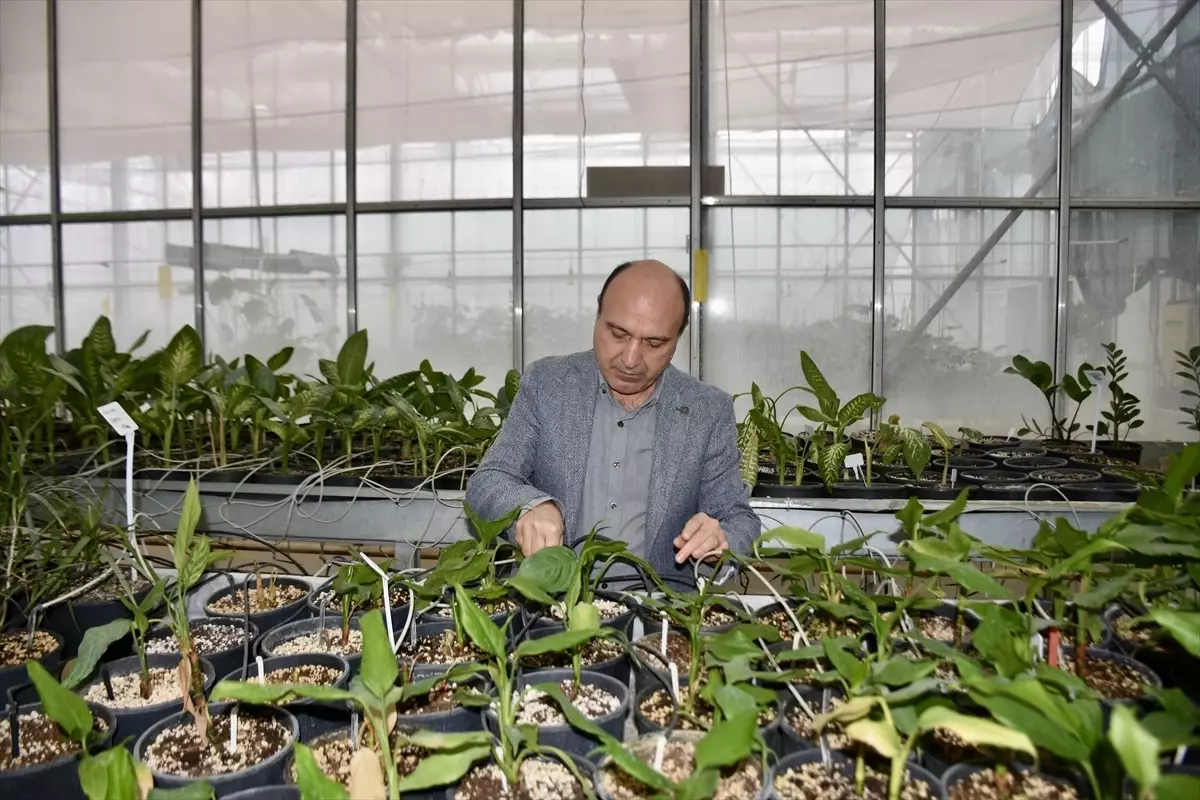 Antalya COP31\'de Tarım Teknolojileri Öne Çıkacak