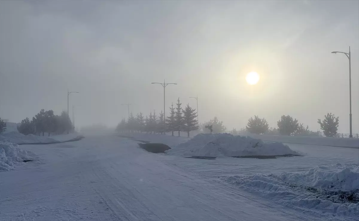 Erzurum, Ardahan ve Kars\'ta Dondurucu Soğuk ve Yoğun Sis