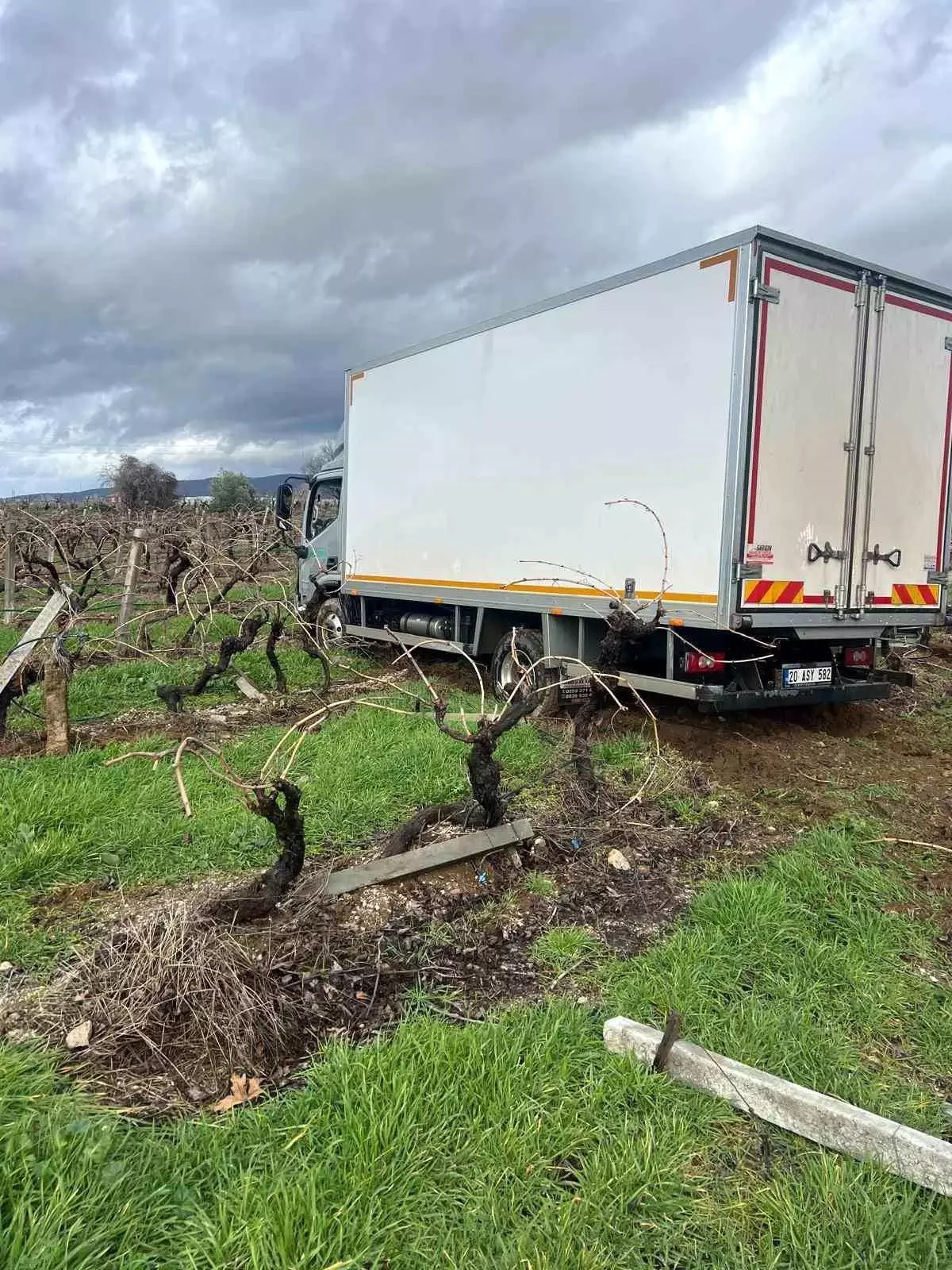 Buldan\'da Kamyon Üzüm Bağına Girdi