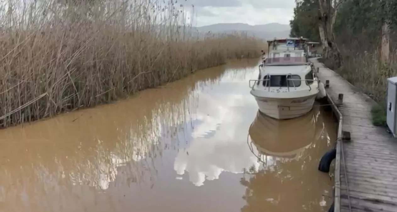 Akyaka\'da Denizde Kahverengi Su Alarmı