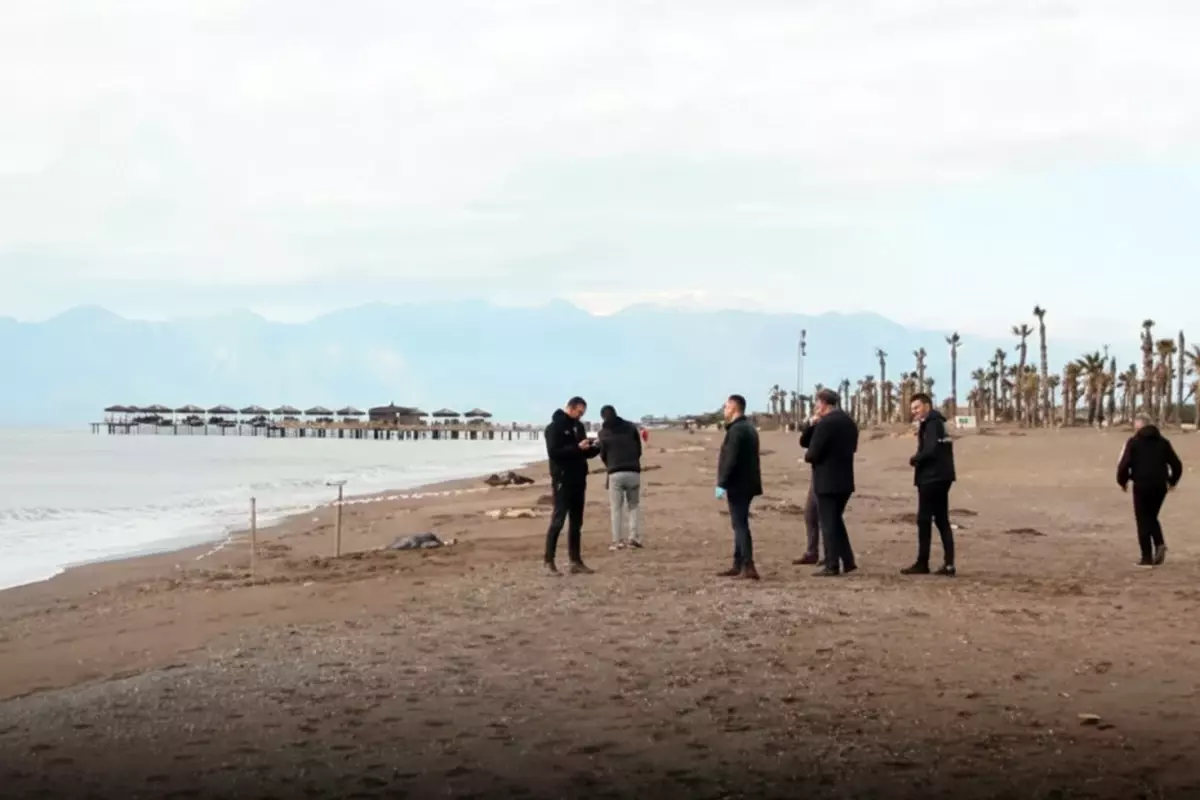 İzmir\'de sahile vurmuş bir çocuk cesedi bulundu