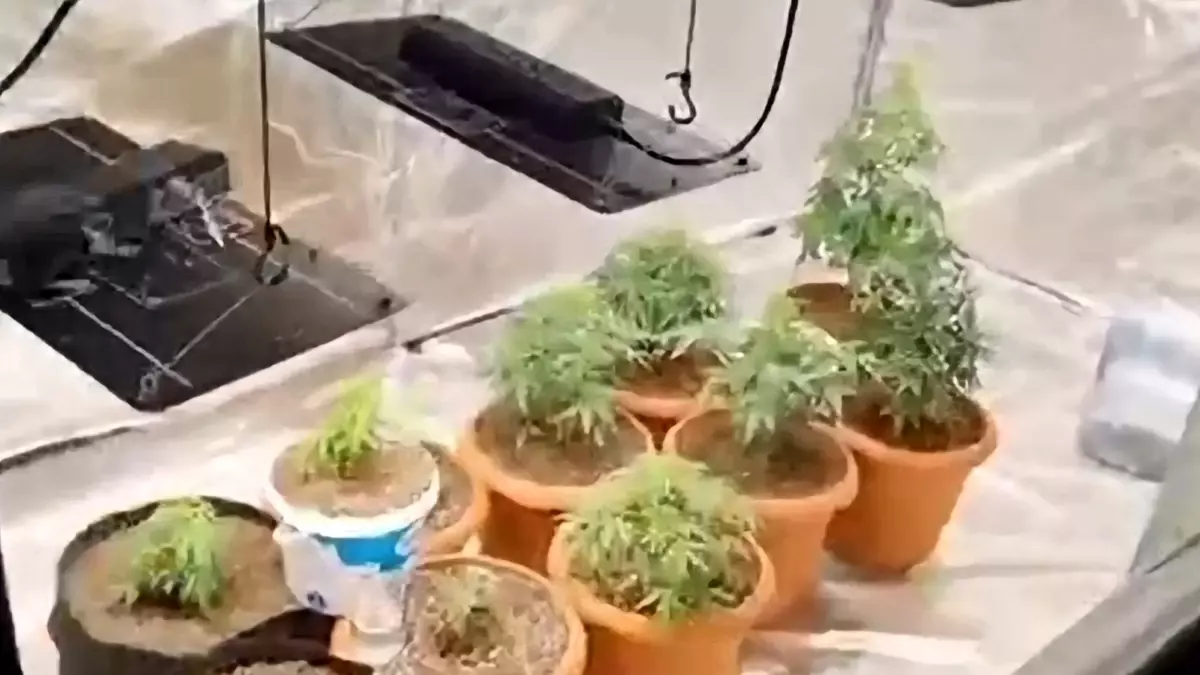 Geyve\'de Hint Keneviri Operasyonu