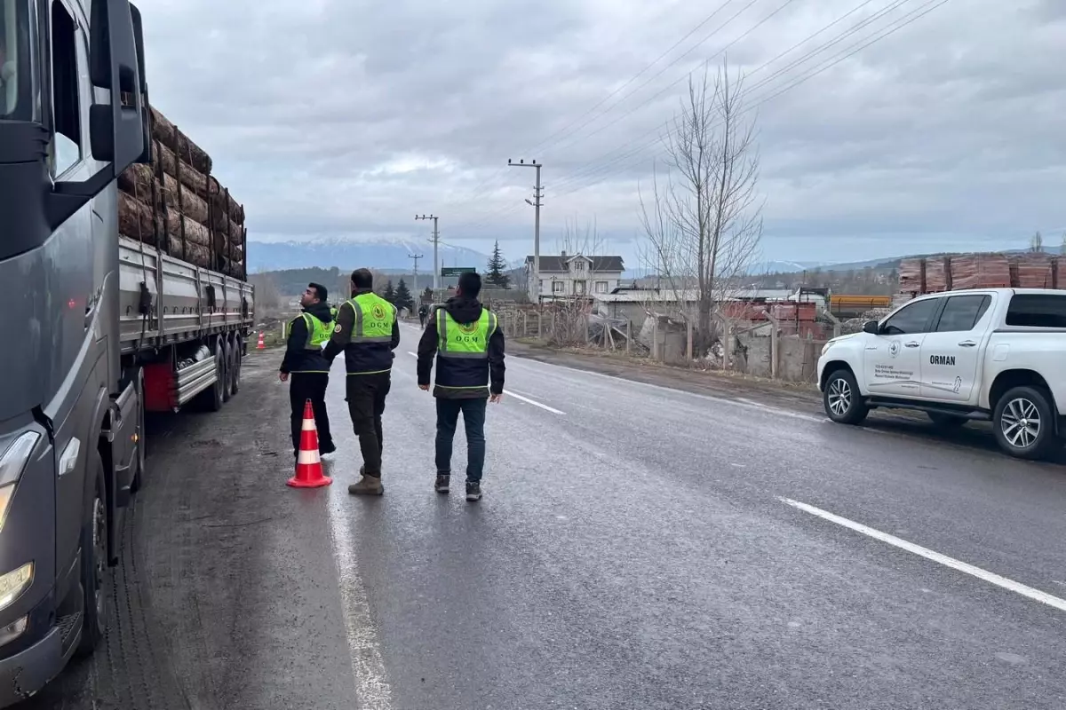 Düzce\'de Orman Koruma Denetimleri Artıyor