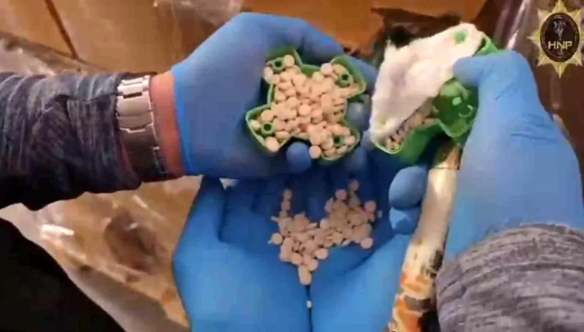 Hatay\'da 642 Bin Captagon Hap Ele Geçirildi