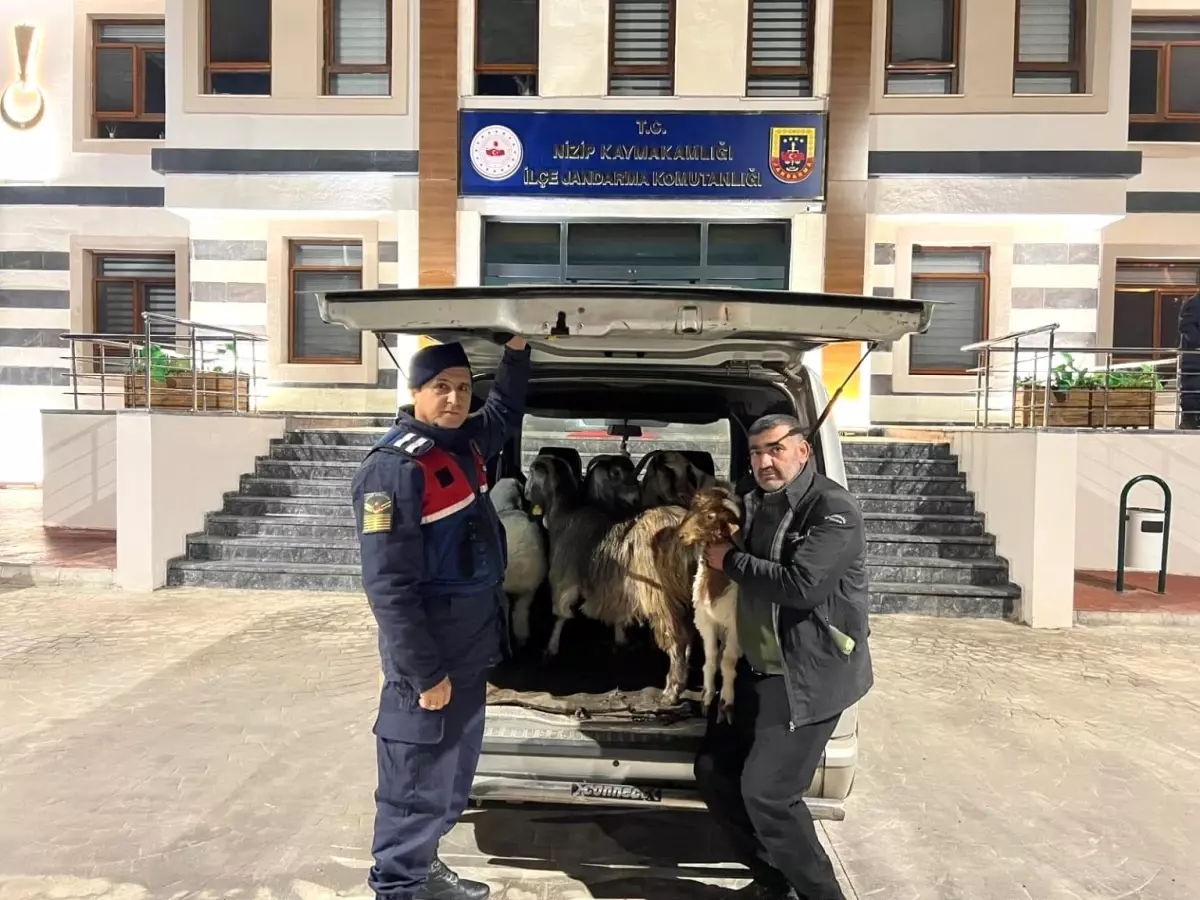 Gaziantep\'te Sahte Para İle Dolandırıcılık