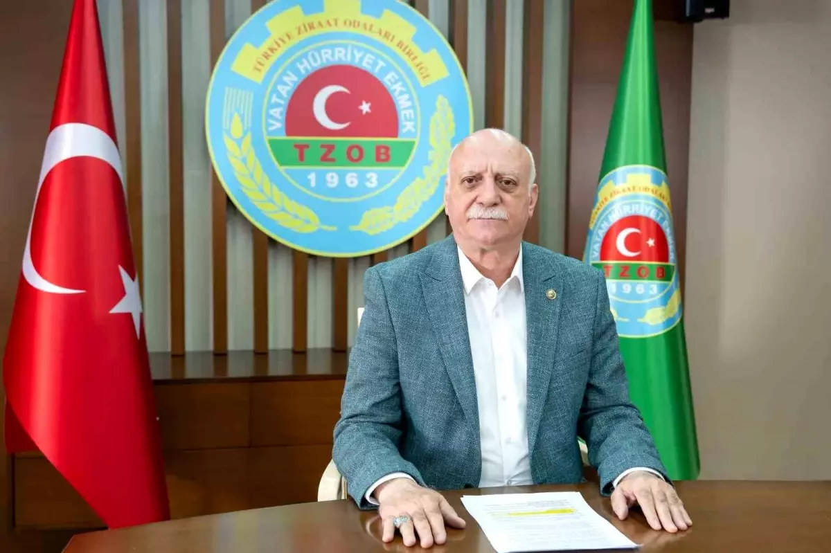 Ocak\'ta Havuçta Fiyat Farkı %278,1