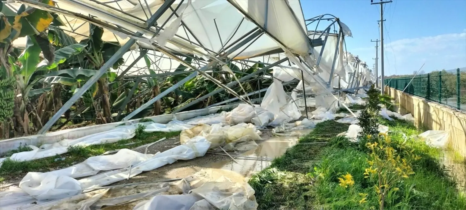 Manavgat\'ta Hortum Zararları İncelendi