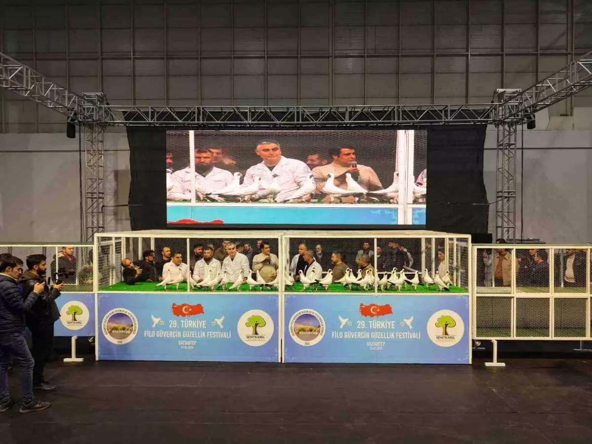 29. Türkiye Filo Güvercin Güzellik Festivali Gaziantep\'te