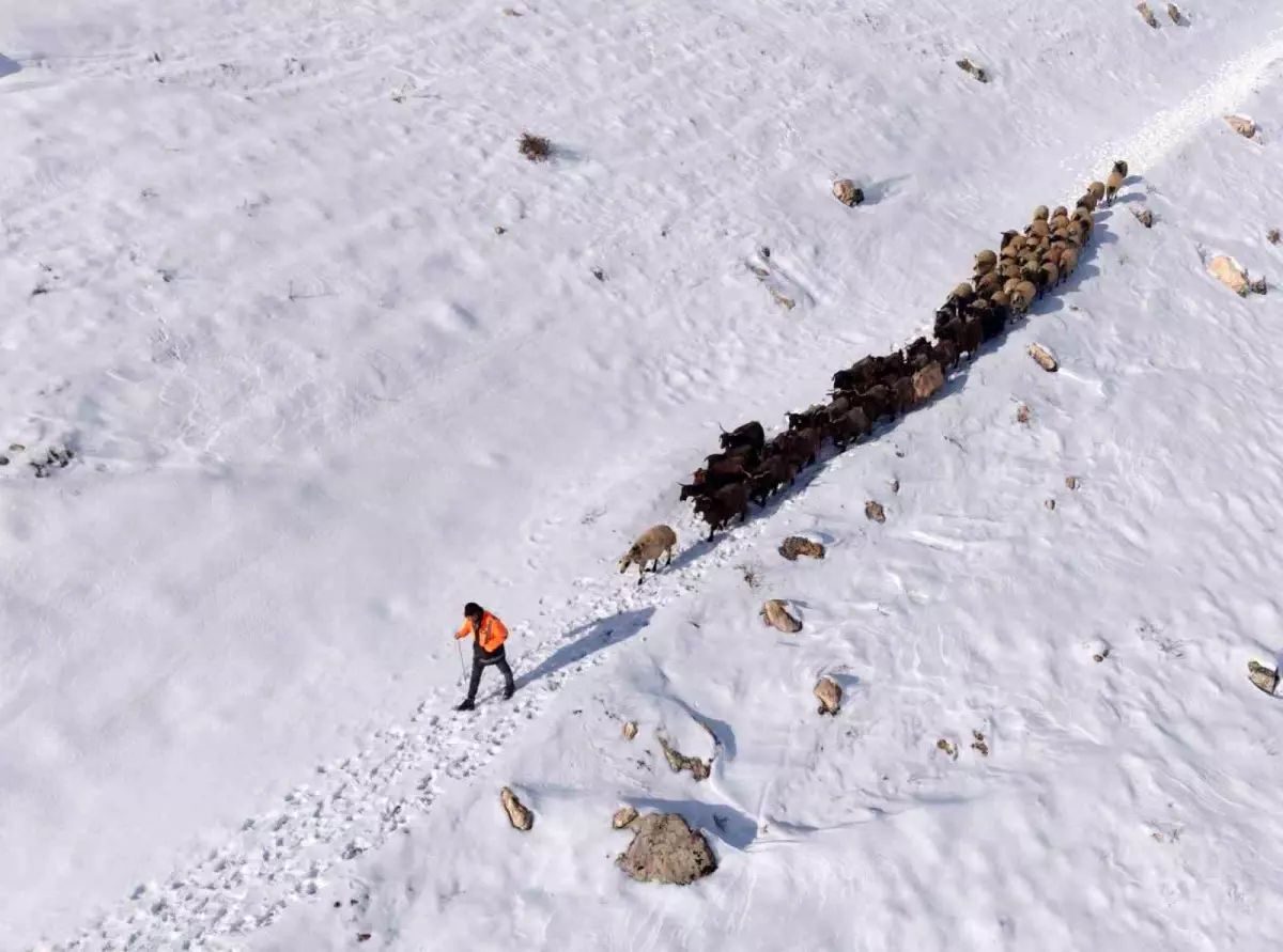 Mazıdağı\'nda Kar Zorluğu