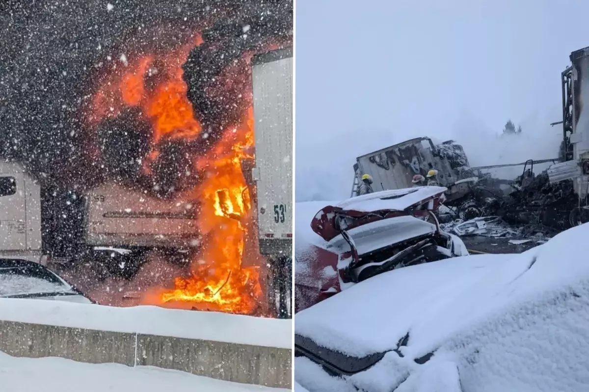 Türk tır sürücüsü Kanada\'da kahraman ilan edildi