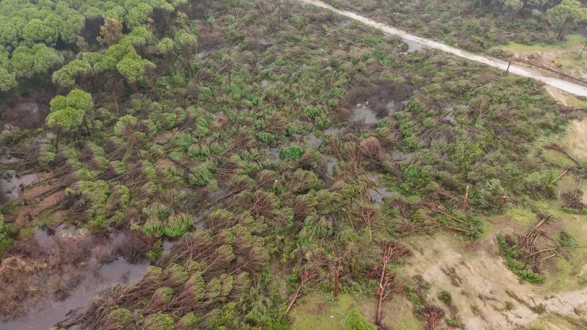 Antalya\'daki Hortum Sonrası Hasar Tespit Çalışmaları