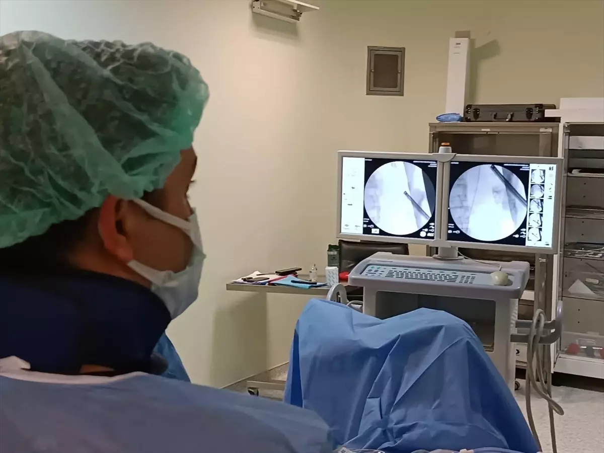 Ağrı\'da 295 Taş Başarıyla Çıkarıldı