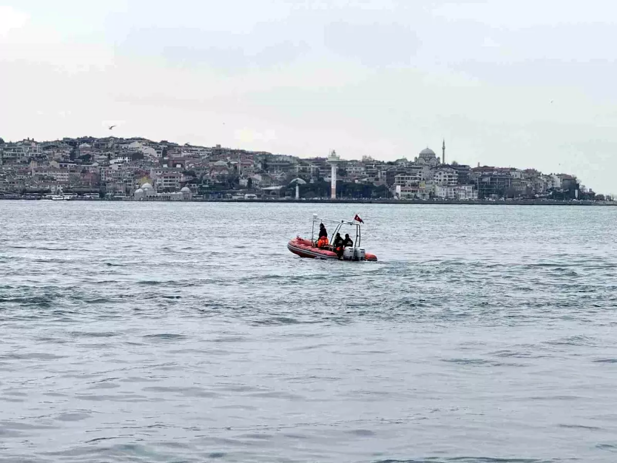 Deniz İbişler İçin Arama Çalışmaları Sürüyor