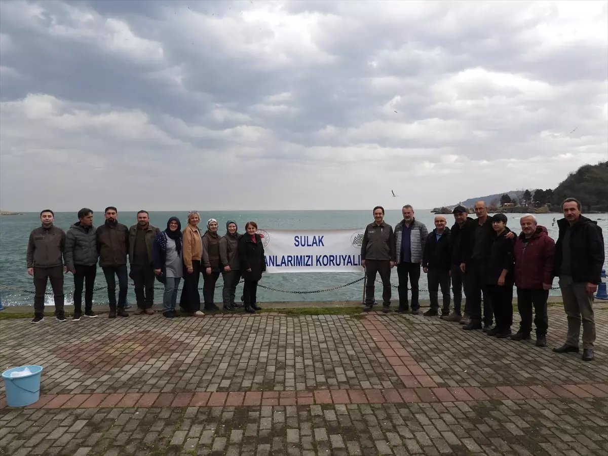 Tirebolu\'da Su Kuşlarına Yemleme Etkinliği