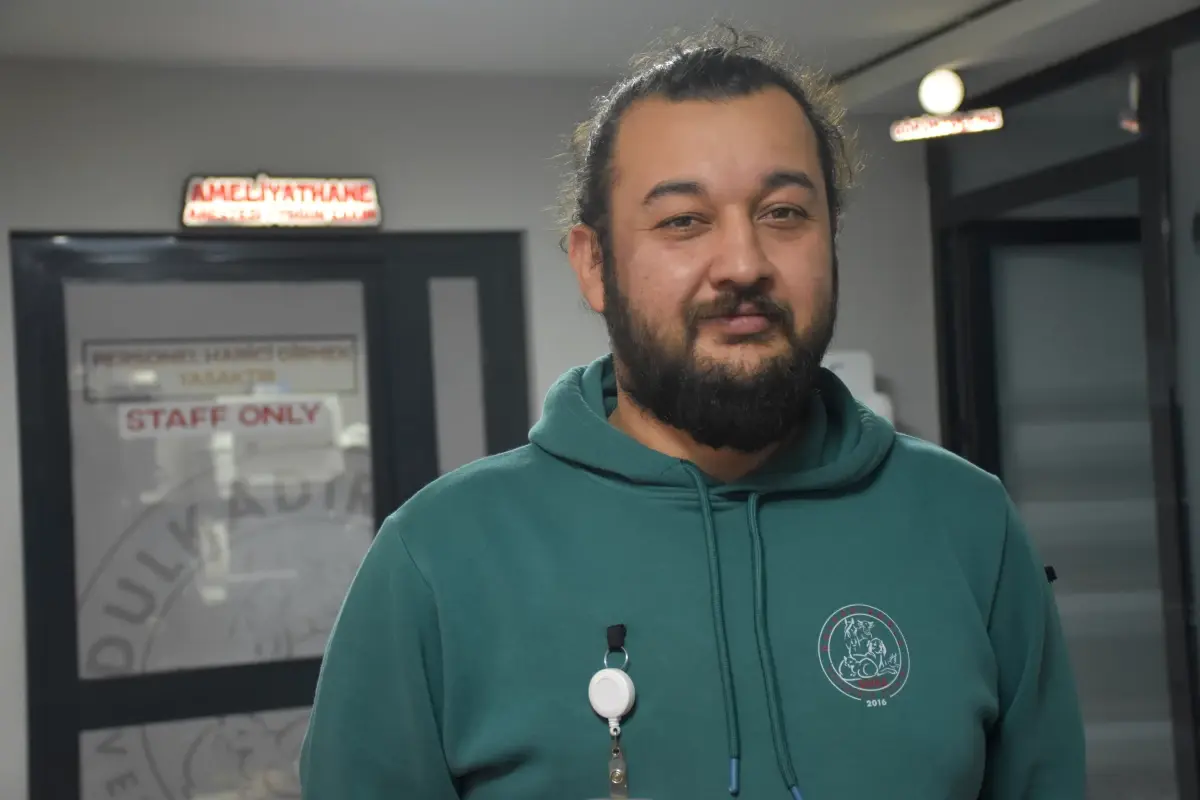 Kangal Köpeği Tolo\'nun Hayati Ameliyatı