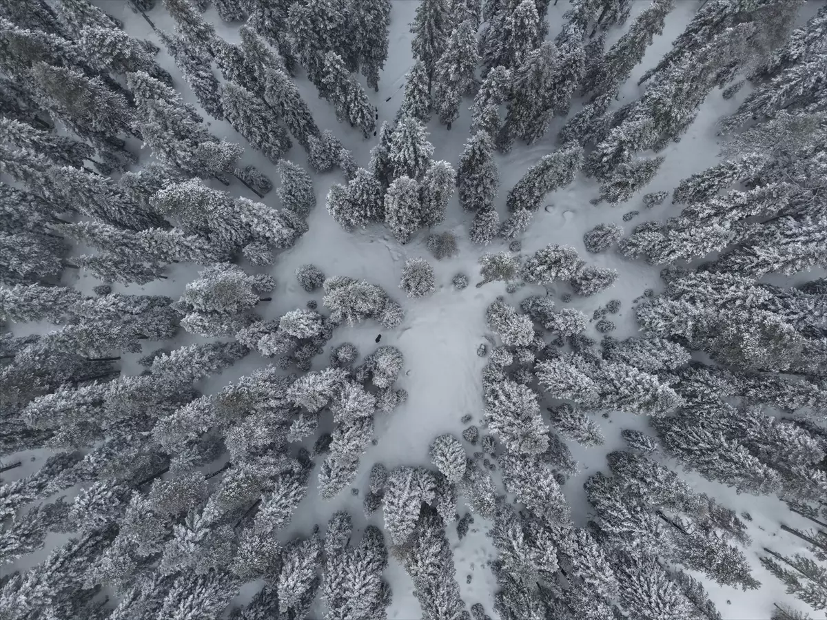 Kastamonu\'da Kar Yağışı Etkili Oldu