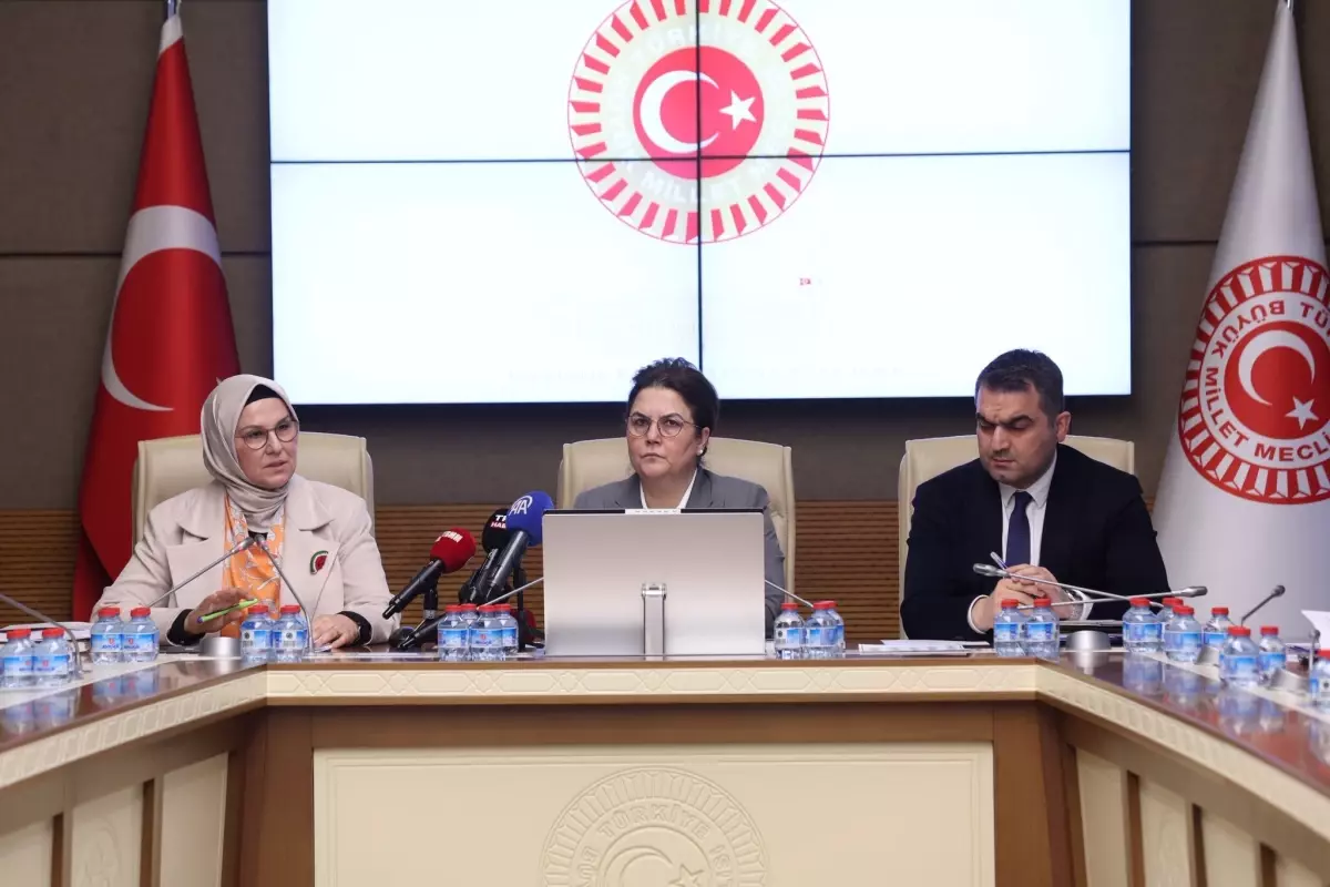 Dijital Tehditler Raporu TBMM\'de Kabul Edildi