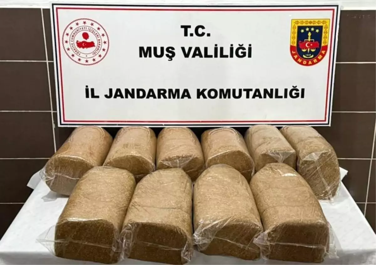 Muş\'ta Kaçak Tütün Operasyonu