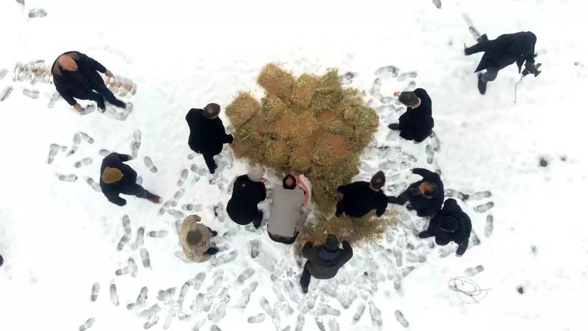 Muş\'ta yaban hayatı için doğaya yem bırakıldı