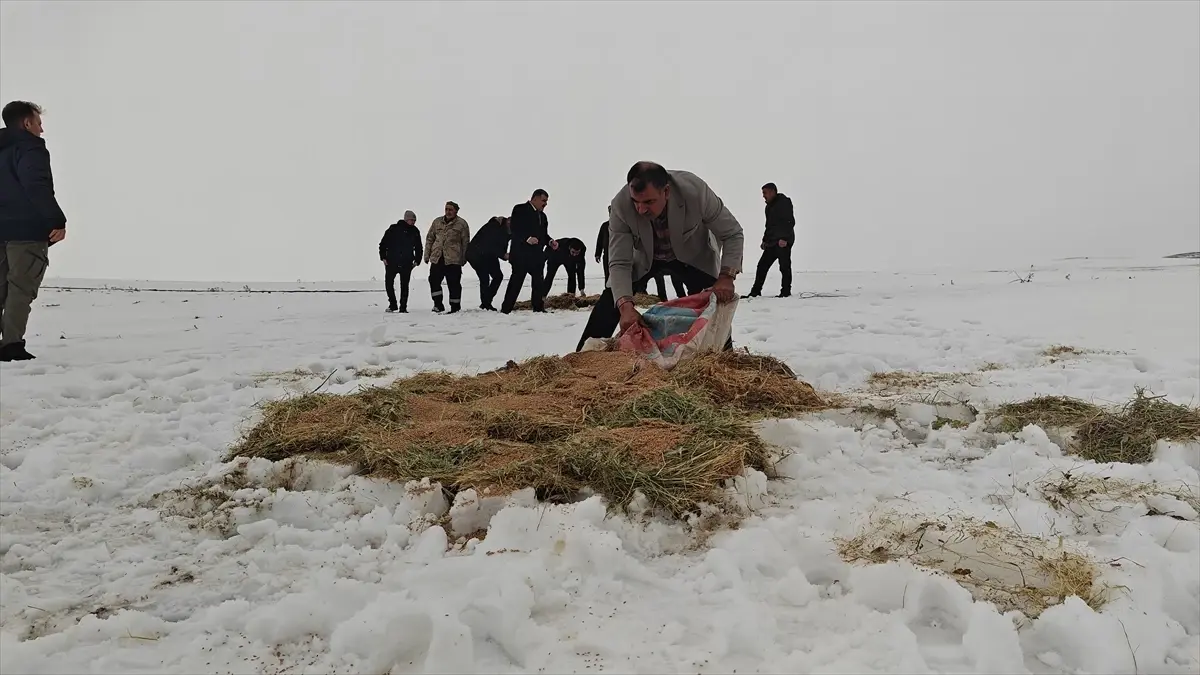 Korkut\'ta Yaban Hayvanlarına Yardım