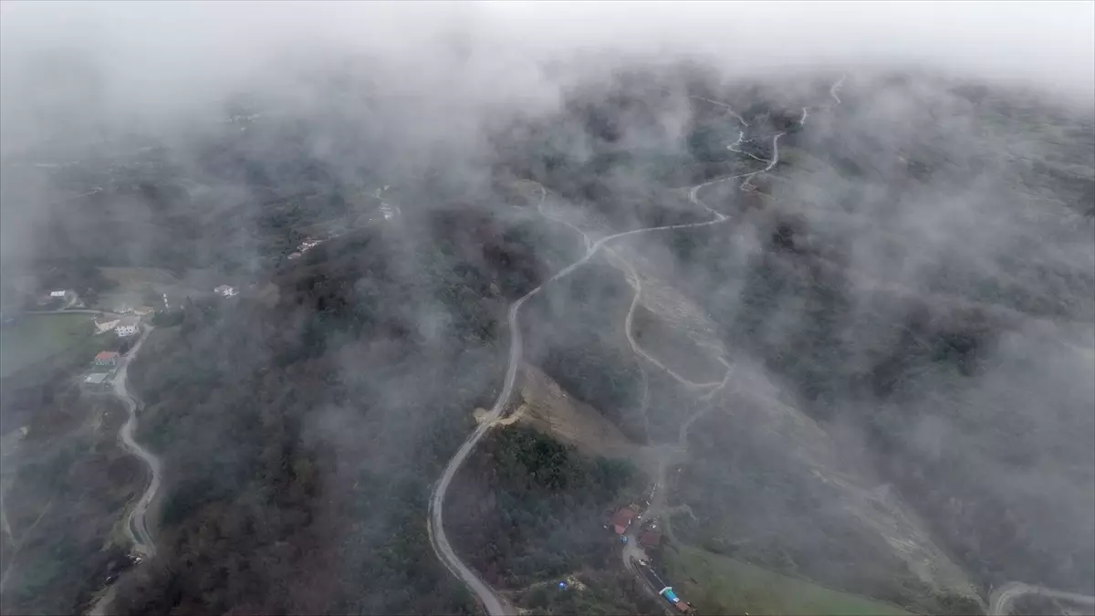 Türkeli\'de Görülen Sis Manzaraları