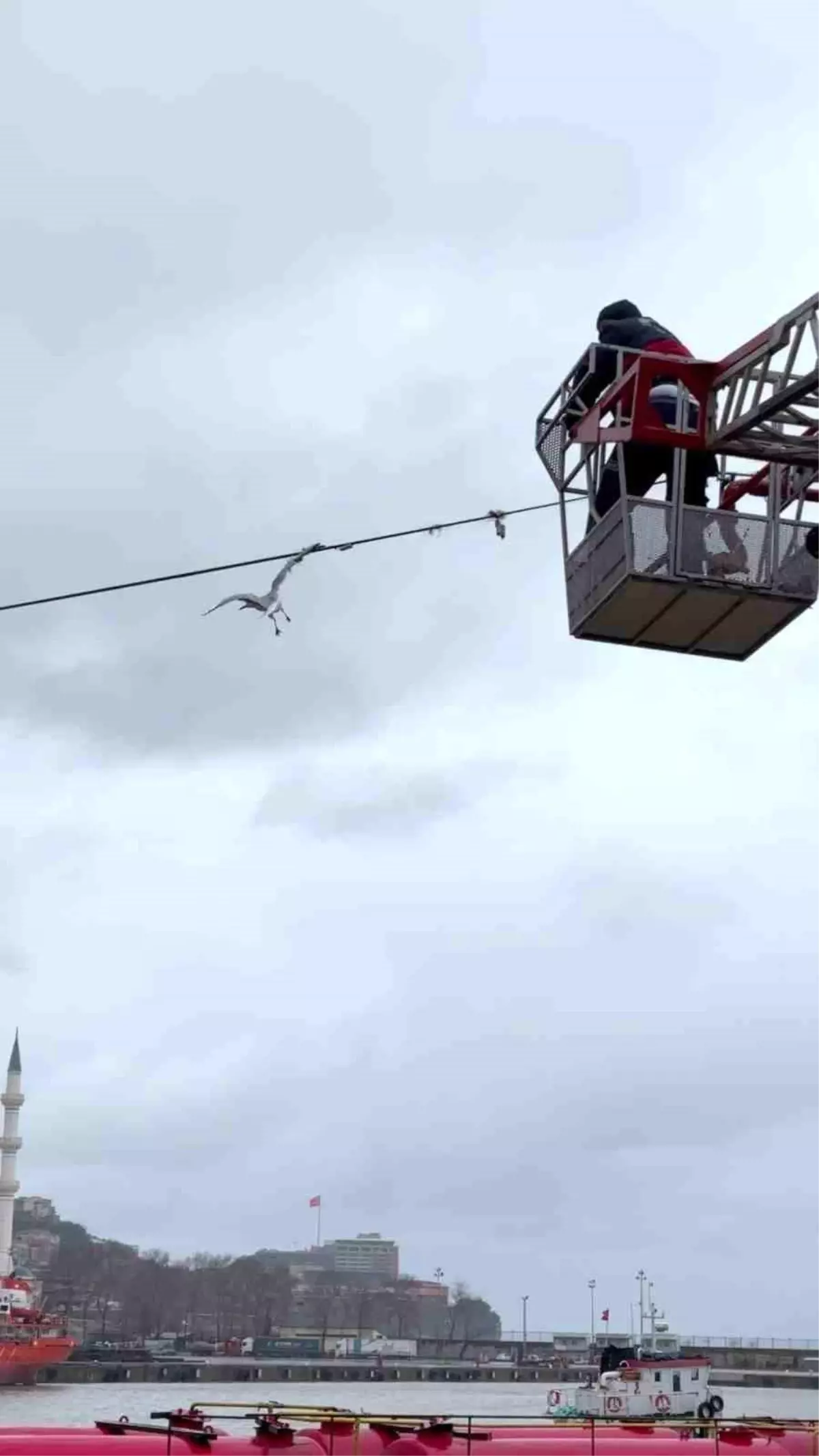 Tellerde mahsur kalan martıyı itfaiye ekipleri kurtardı