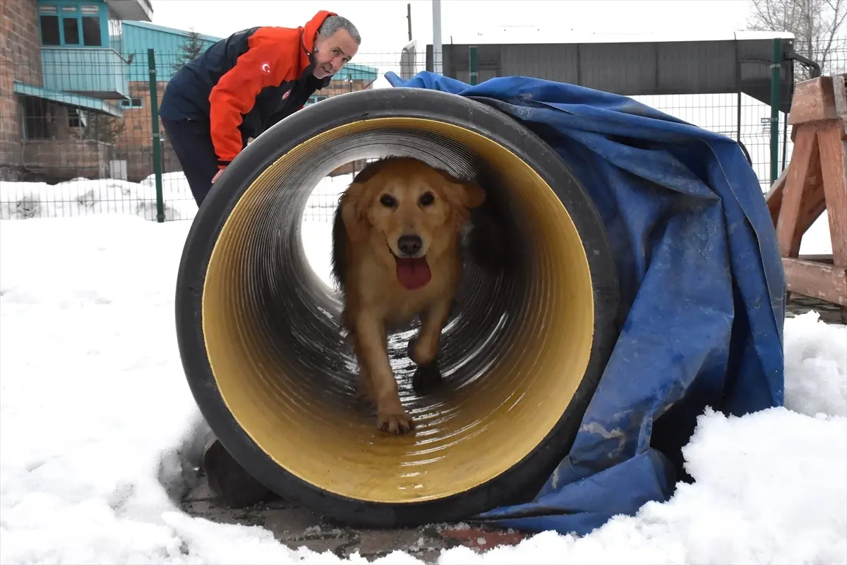 Köpük, Yeni Görevlere Hazırlanıyor