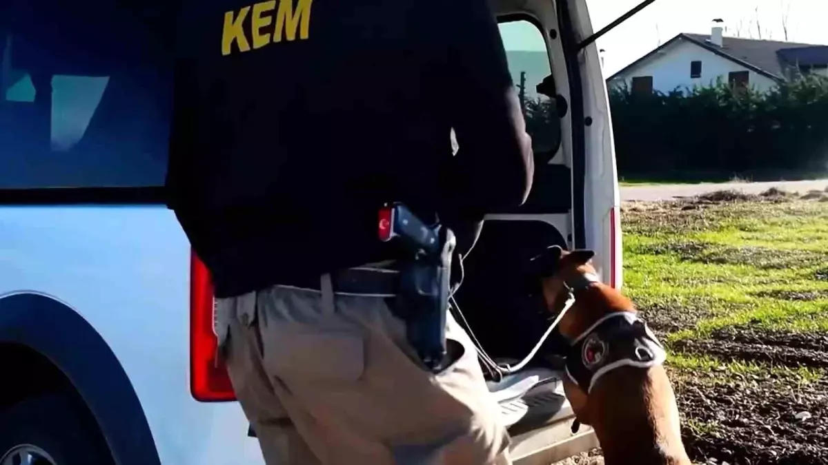 Bolu\'da Uyuşturucu Operasyonu: 15 Gözaltı