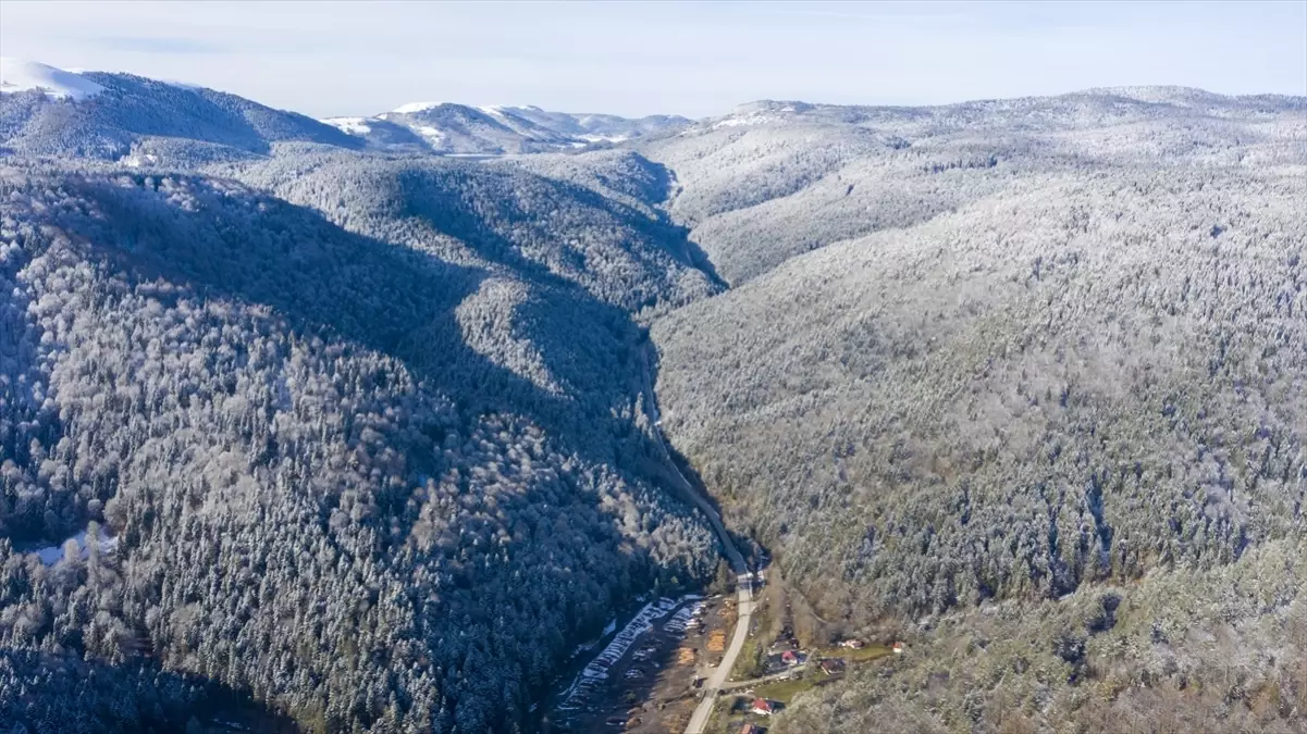 Bolu ve Düzce\'de Kar Yağışı Etkili Oldu