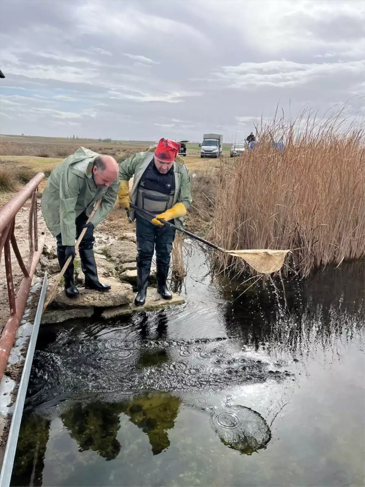 Dünya Sulak Alanlar Günü Etkinliği
