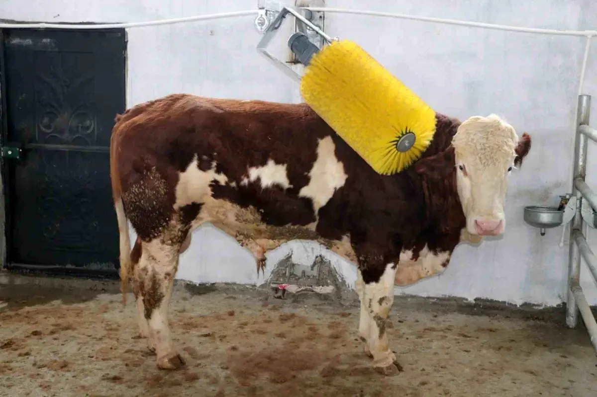 Erzincan\'da 12 Tarım Projesine 121 Milyon TL Hibe