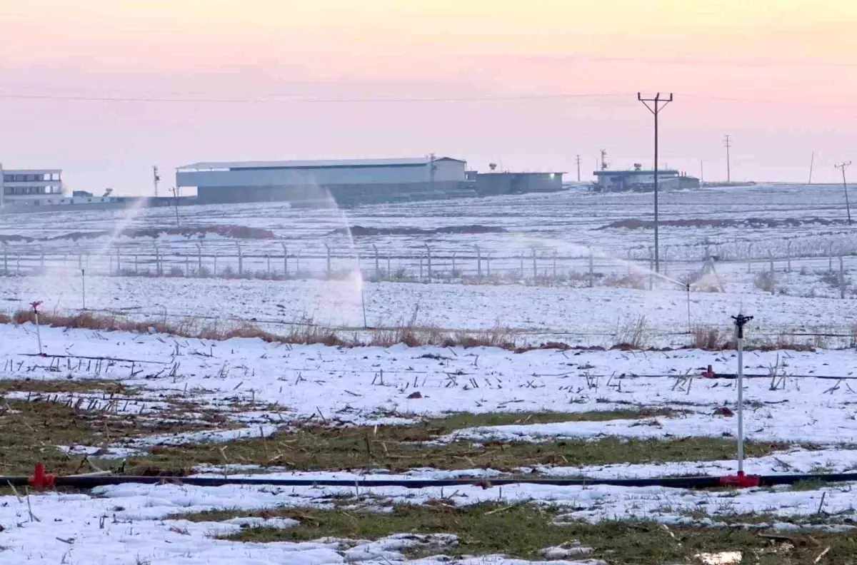Şanlıurfa\'da Kaçak Elektrik İle Sulama Tespit Edildi