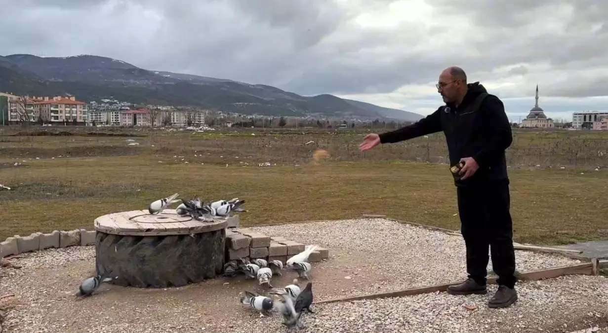 Kütahya\'nın Güvercin Sevdası