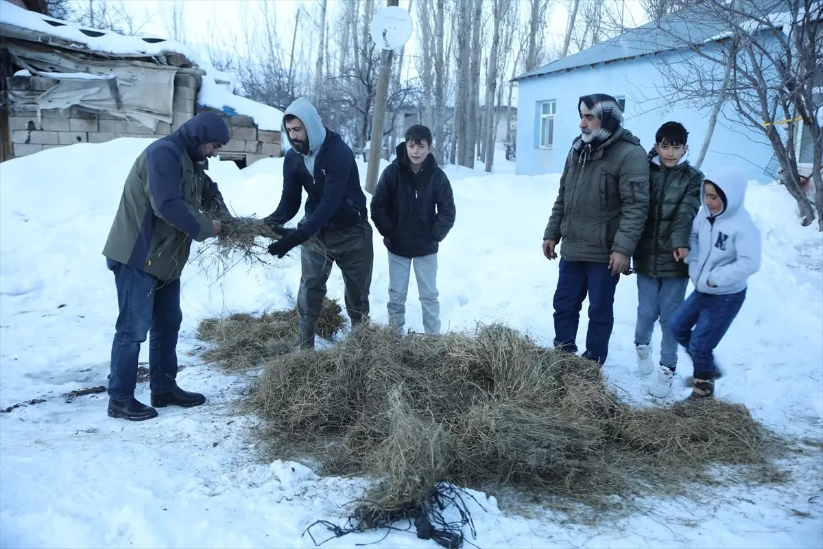 Köse-Gelin Geleneği Muradiye\'de Yaşatılıyor