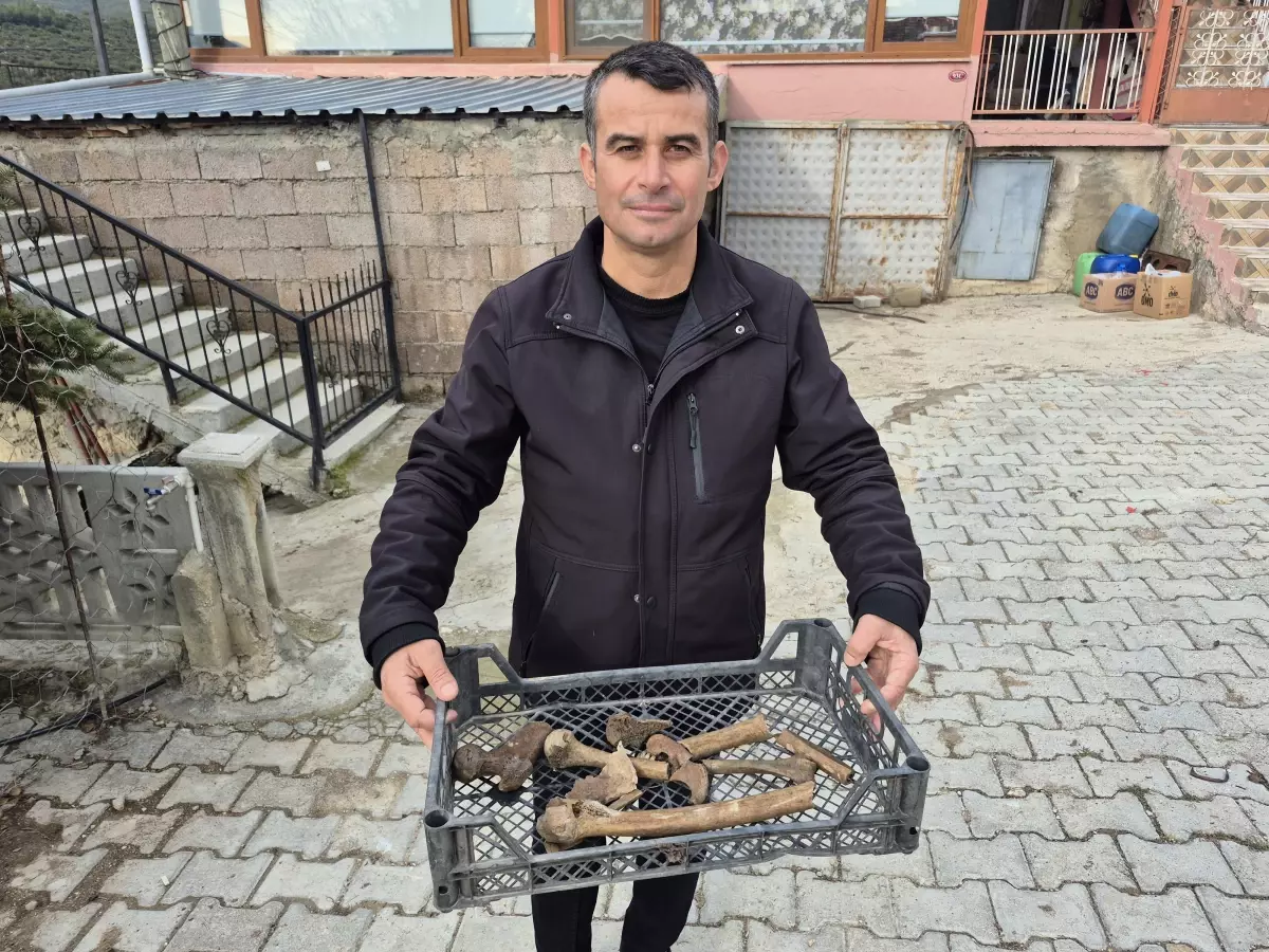 Su çekildi, küplerden insan kemikleri fışkırdı