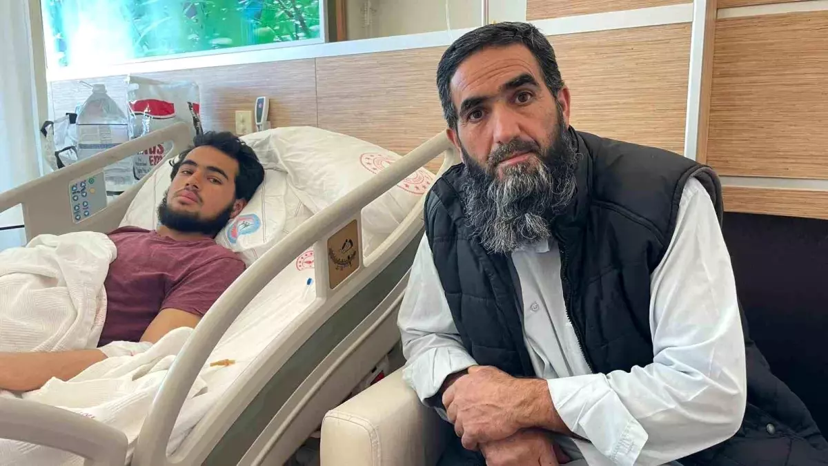 Karaman\'da Yaban Domuzu Saldırısı