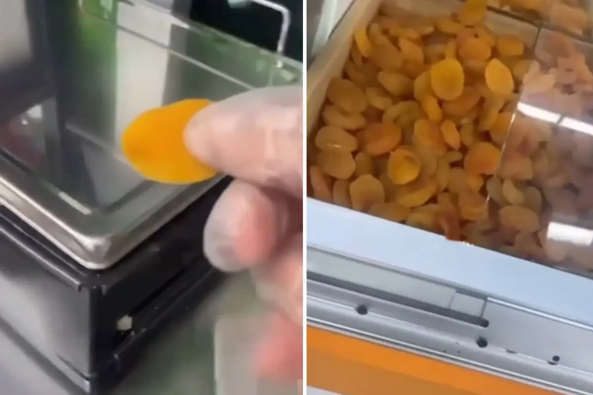 Kayısının kilo fiyatı da tane fiyatı da ağızları açık bıraktı