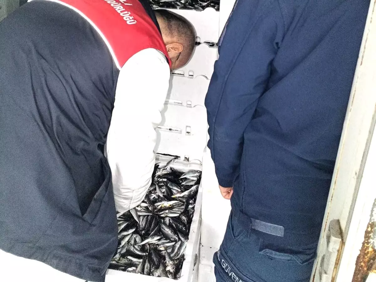 Kırklareli\'nde İstavrit Denetimi