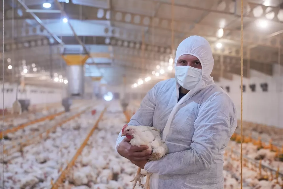 Lezita, Kahramanmaraş\'ta Yeni Piliç Tesisi Kuracak