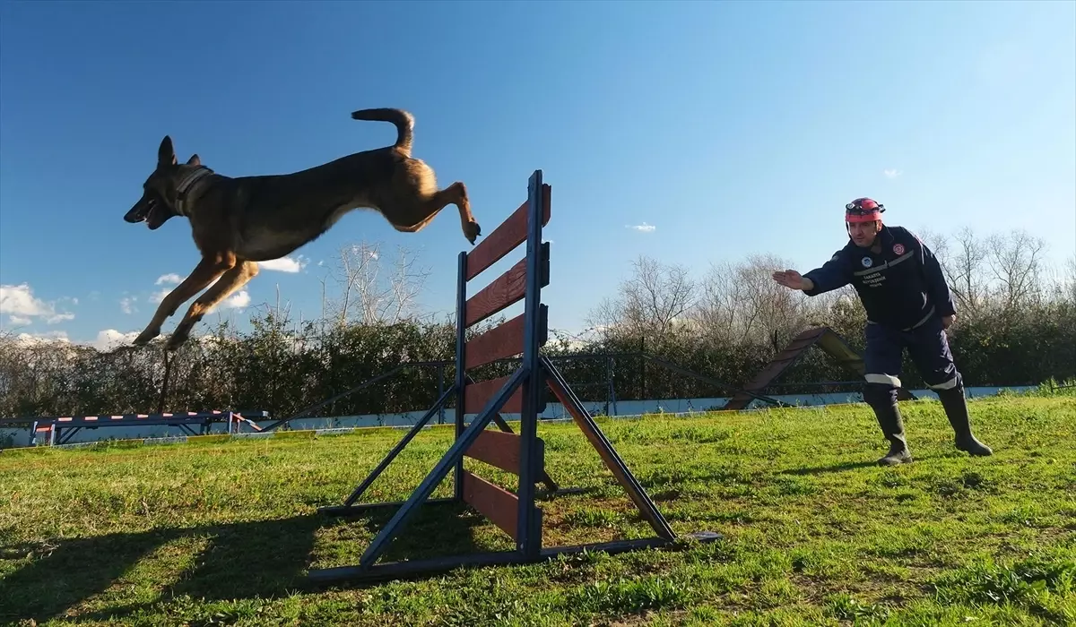 Sakarya\'nın K9 Köpekleri Afetlere Hazırlanıyor